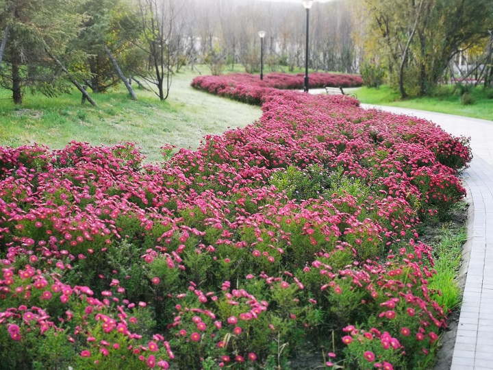 ed_1665728012101550.jpg 曲径通幽(市纪委约彩365彩票app下载安装_365足球规则_约彩365怎么不能下载苹果ios版-李大伟).jpg