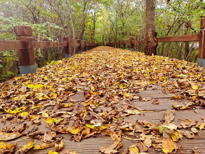 ed_1665728200291239.jpg 市纪委约彩365彩票app下载安装_365足球规则_约彩365怎么不能下载苹果ios版—申晶.jpg