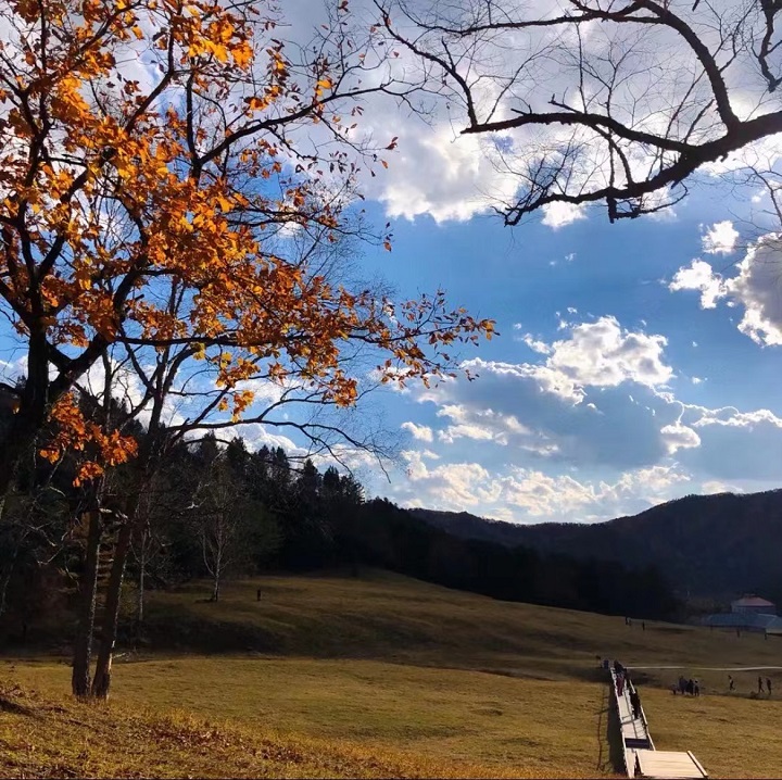 ed_1665728457425455.jpg 秋高气爽(市纪委约彩365彩票app下载安装_365足球规则_约彩365怎么不能下载苹果ios版—王驰).jpg