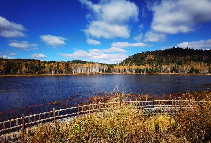 ed_1665728526139483.jpg 秋天印象(市纪委约彩365彩票app下载安装_365足球规则_约彩365怎么不能下载苹果ios版-马桂莲).jpg