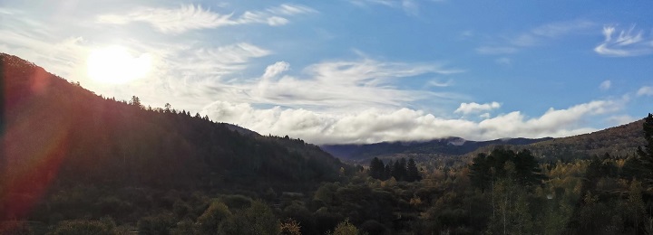 ed_1665728614193083.jpg 市纪委约彩365彩票app下载安装_365足球规则_约彩365怎么不能下载苹果ios版—王谦.jpg