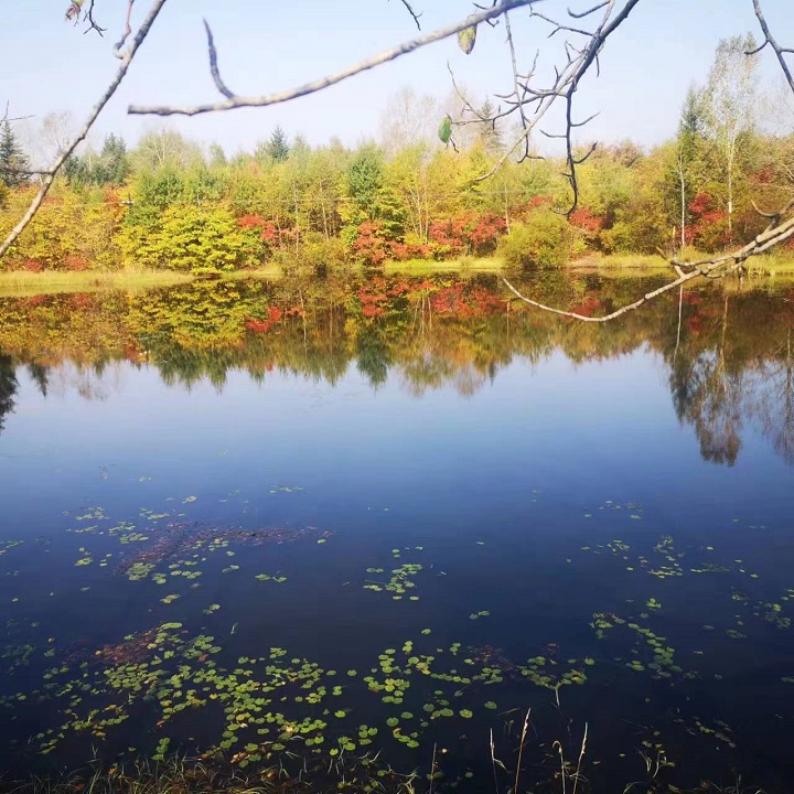 ed_1665729016129129.jpg 兴安五花秋色(市纪委约彩365彩票app下载安装_365足球规则_约彩365怎么不能下载苹果ios版——金鑫).jpg